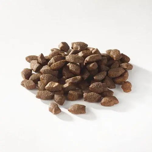 Fish4Dogs Support+ Puppy Salmon Mini Morsels - Birdham Animal Feeds