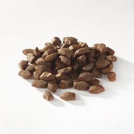 Fish4Dogs Support+ Puppy Salmon Mini Morsels - Birdham Animal Feeds