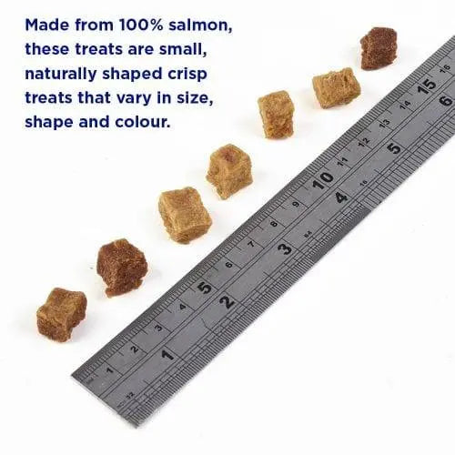 Fish4Dogs Puppy Training Salmon Bites - Birdham Animal Feeds