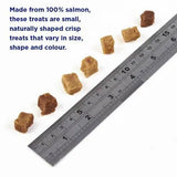 Fish4Dogs Puppy Training Salmon Bites - Birdham Animal Feeds